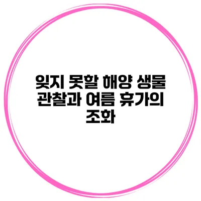 잊지 못할 해양 생물 관찰과 여름 휴가의 조화