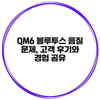 QM6 블루투스 음질 문제, 고객 후기와 경험 공유