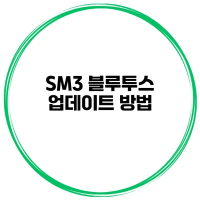 SM3 블루투스 업데이트 방법