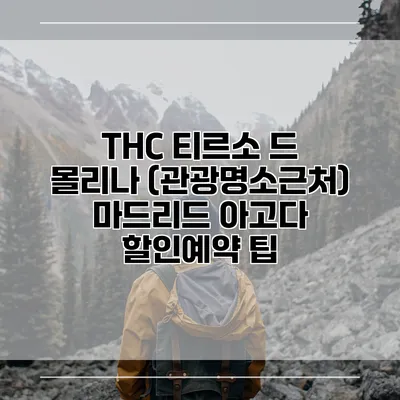 THC 티르소 드 몰리나 (관광명소근처) 마드리드 아고다 할인예약 팁