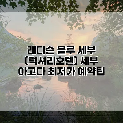 래디슨 블루 세부 (럭셔리호텔) 세부 아고다 최저가 예약팁