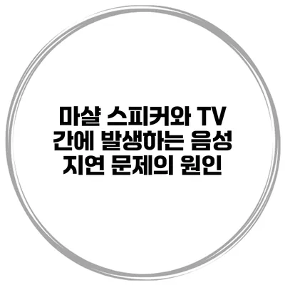마샬 스피커와 TV 간에 발생하는 음성 지연 문제의 원인