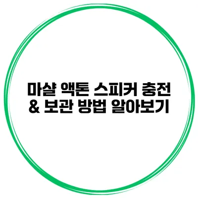 마샬 액톤 스피커 충전 & 보관 방법 알아보기