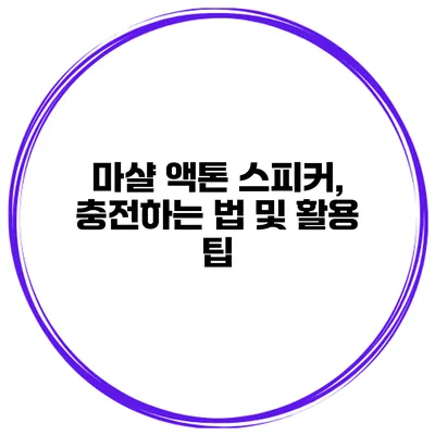 마샬 액톤 스피커, 충전하는 법 및 활용 팁