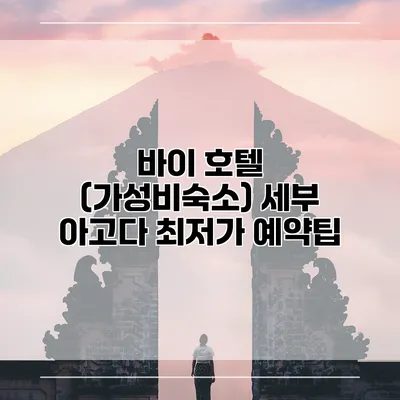 바이 호텔 (가성비숙소) 세부 아고다 최저가 예약팁