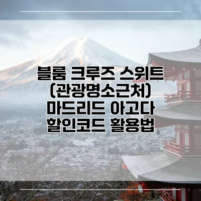 블룸 크루즈 스위트 (관광명소근처) 마드리드 아고다 할인코드 활용법