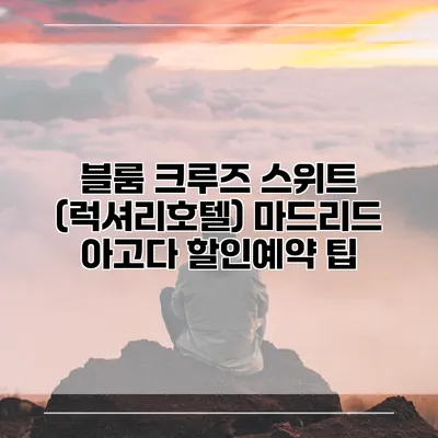 블룸 크루즈 스위트 (럭셔리호텔) 마드리드 아고다 할인예약 팁