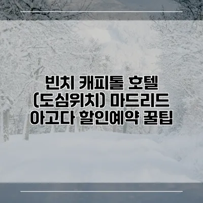 빈치 캐피톨 호텔 (도심위치) 마드리드 아고다 할인예약 꿀팁
