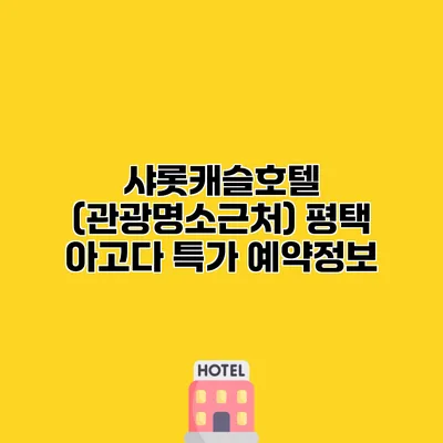 샤롯캐슬호텔 (관광명소근처) 평택 아고다 특가 예약정보