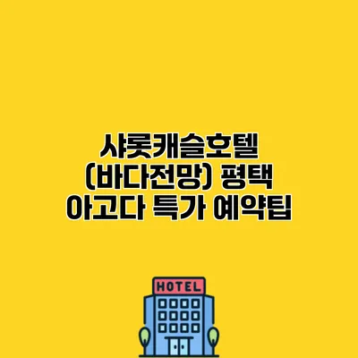 샤롯캐슬호텔 (바다전망) 평택 아고다 특가 예약팁