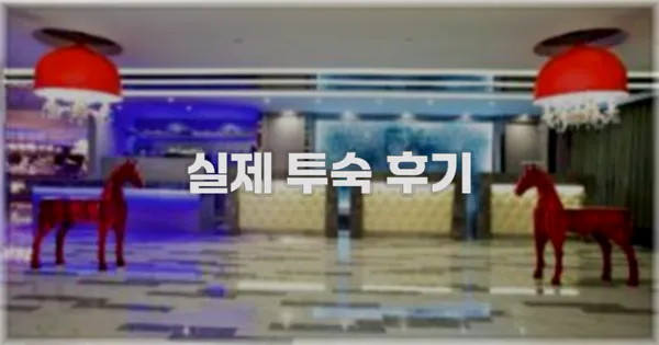 💬 실제 투숙 후기