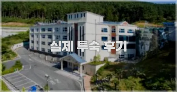 💬 실제 투숙 후기