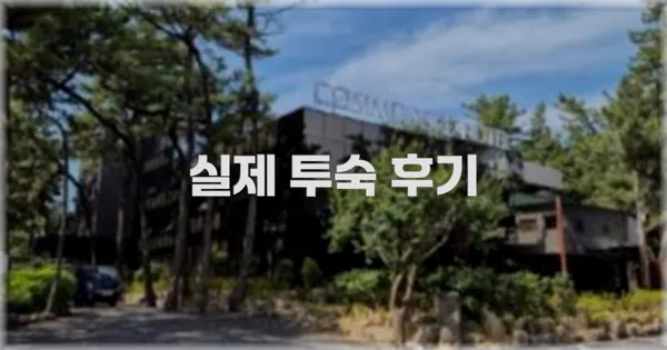 💬 실제 투숙 후기
