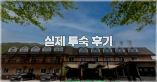 💬 실제 투숙 후기