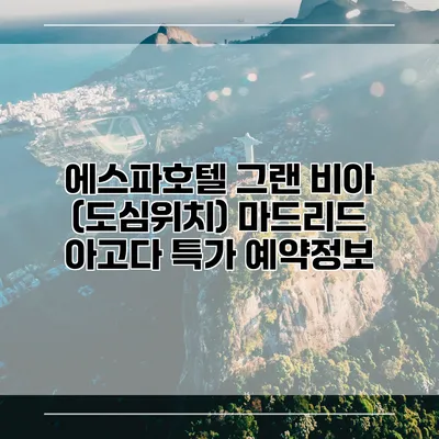 에스파호텔 그랜 비아 (도심위치) 마드리드 아고다 특가 예약정보