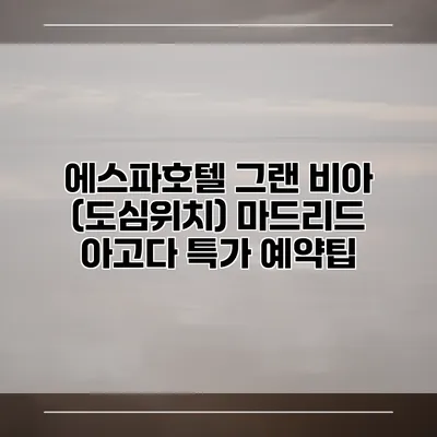에스파호텔 그랜 비아 (도심위치) 마드리드 아고다 특가 예약팁
