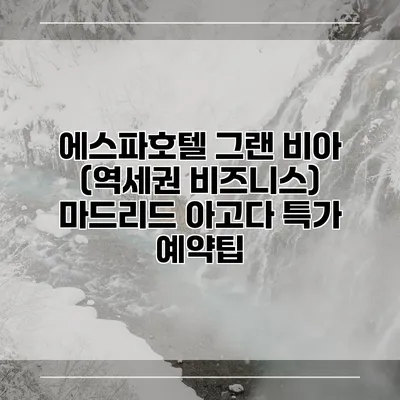에스파호텔 그랜 비아 (역세권 비즈니스) 마드리드 아고다 특가 예약팁