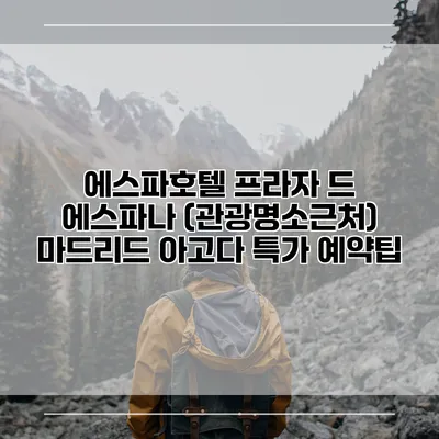 에스파호텔 프라자 드 에스파나 (관광명소근처) 마드리드 아고다 특가 예약팁