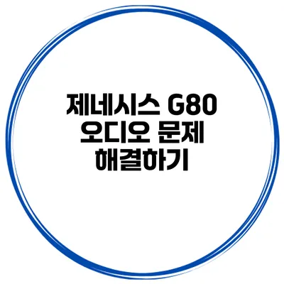 제네시스 G80 오디오 문제 해결하기