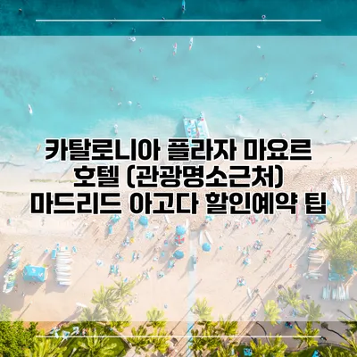카탈로니아 플라자 마요르 호텔 (관광명소근처) 마드리드 아고다 할인예약 팁