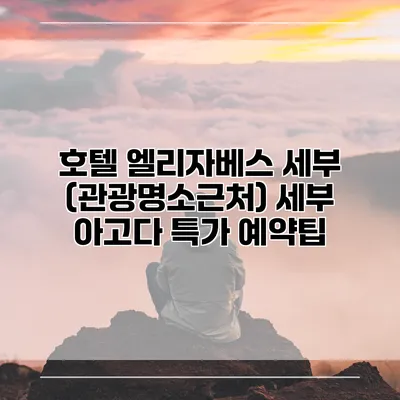 호텔 엘리자베스 세부 (관광명소근처) 세부 아고다 특가 예약팁